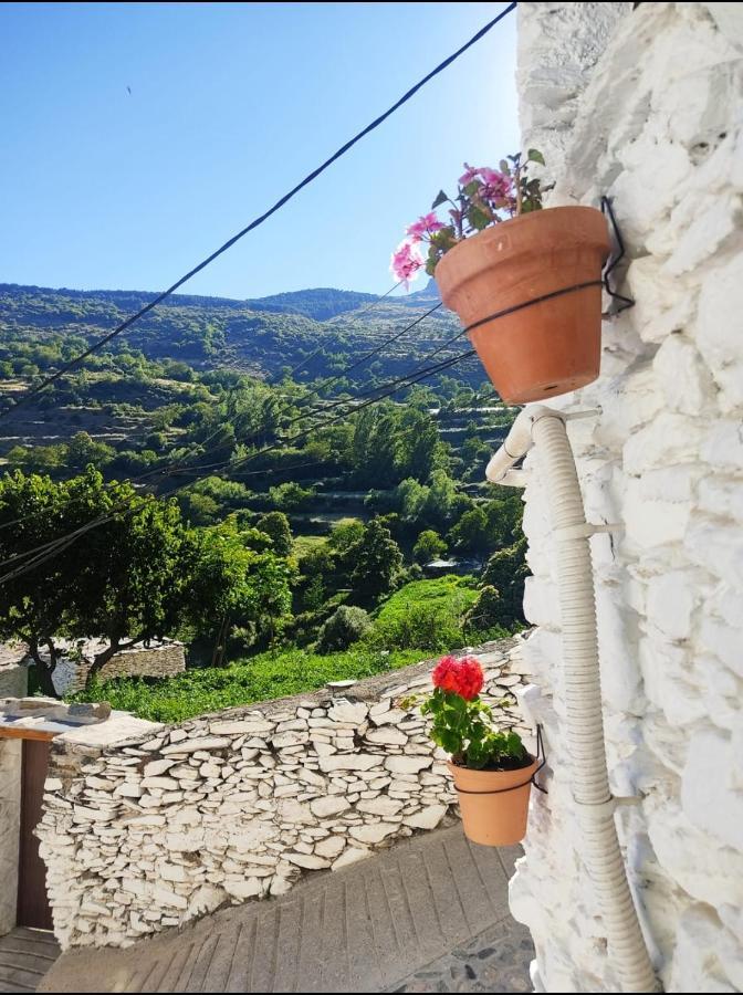 La Maestra Villa Trevélez Dış mekan fotoğraf