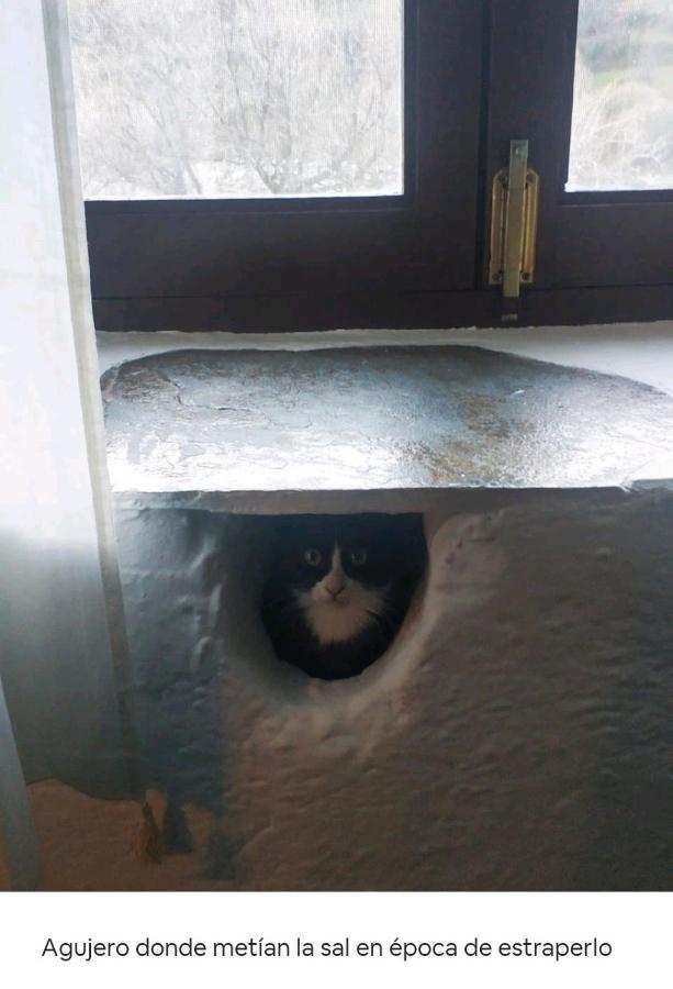 La Maestra Villa Trevélez Dış mekan fotoğraf