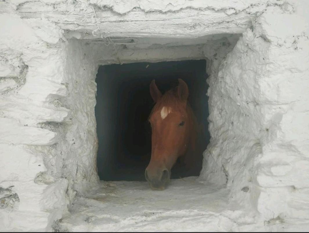 La Maestra Villa Trevélez Dış mekan fotoğraf